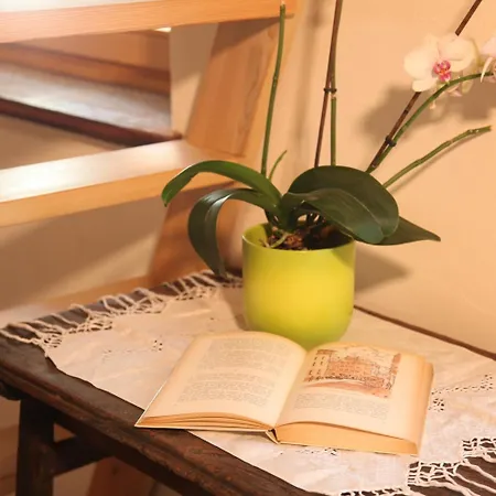 B&B Mi Casa Tu Casa 3*